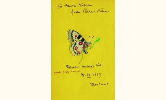 Journal d’un lecteur (12) ou comment apprendre à chasser les papillons