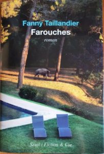 Interview de Fanny Taillandier : « Les romans, c’est l’endroit où l’on peut toujours sauter la clôture, faire le mur ».