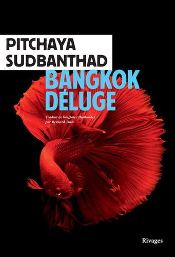 « Bangkok déluge », de Pitchaya Sudbanthad, aux éditions Rivages