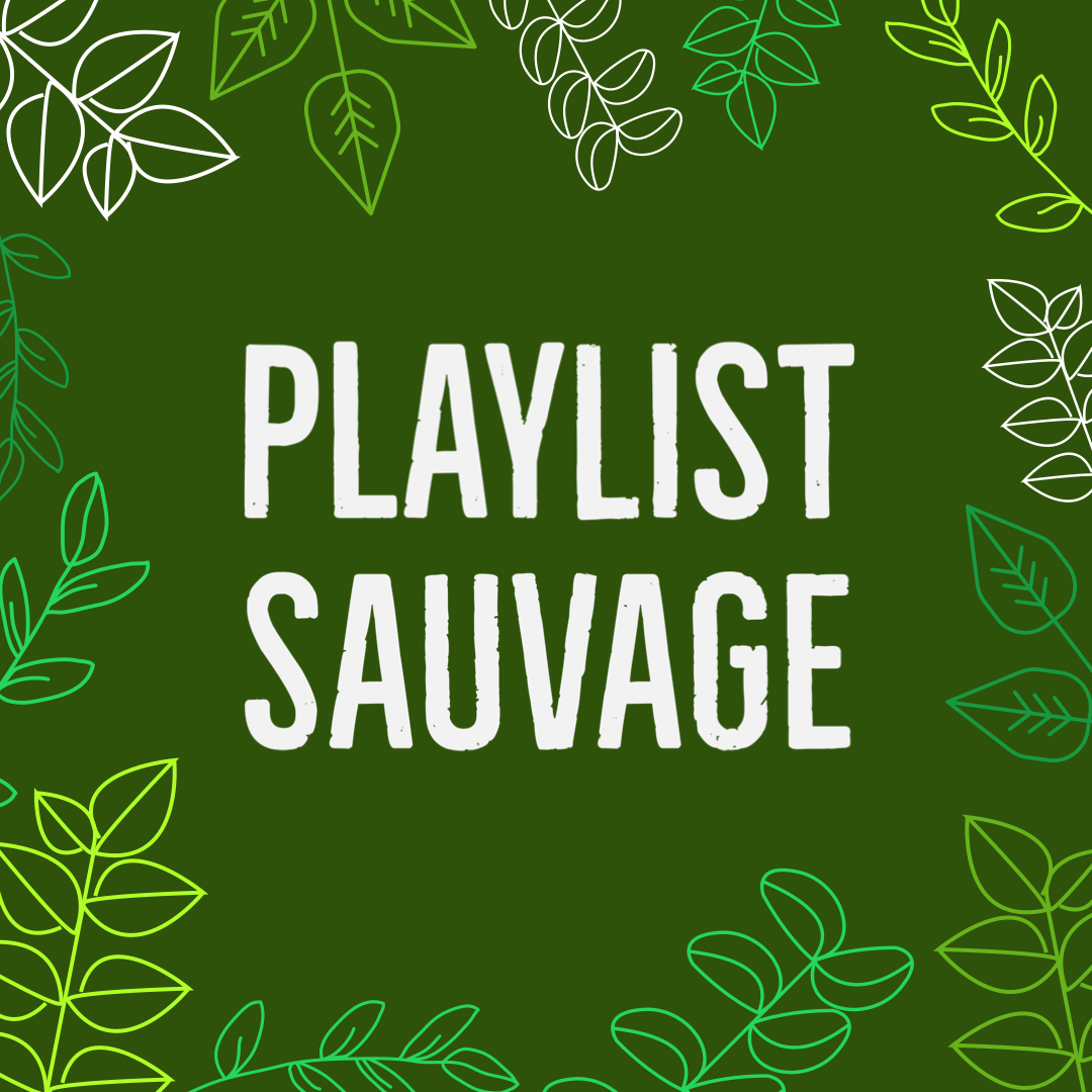 Playlist Sauvage #4